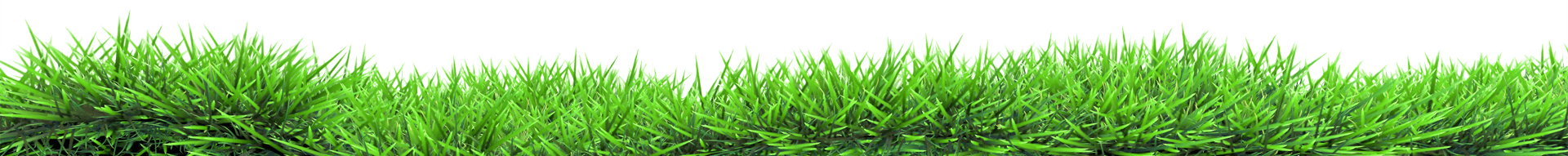 Grass Land