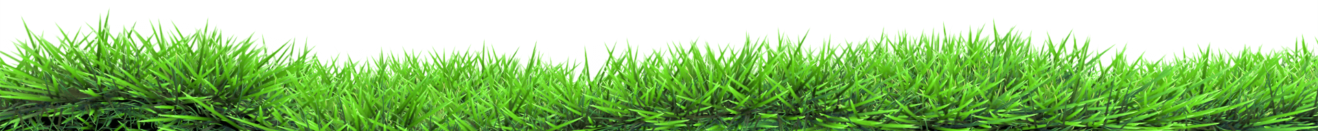 Grass Land Grass Land